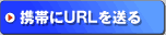 gтURL𑗂